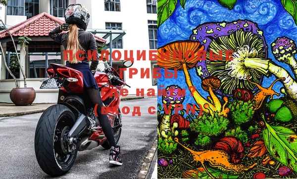 прущая мука Белоозёрский