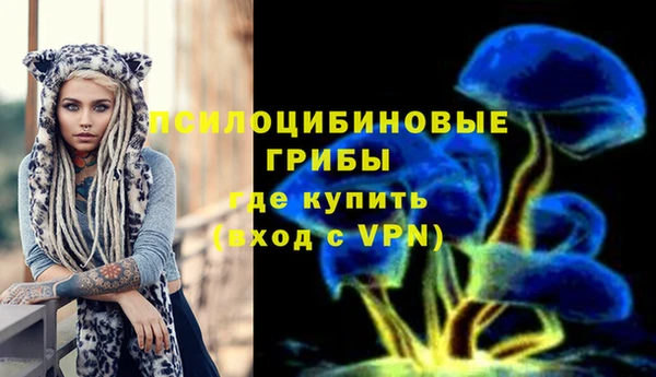 прущая мука Белокуриха