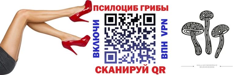 Галлюциногенные грибы Psilocybine cubensis Губаха