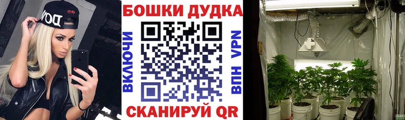 Купить закладки  Губаха  Шишки марихуана гибрид 